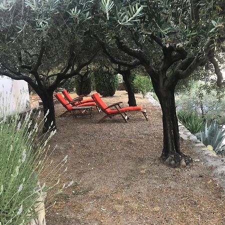Le Clos En Provence 弗莱约斯克 客房 照片