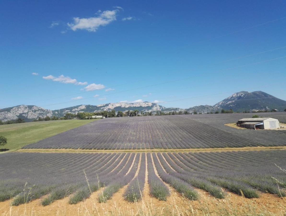 Le Clos En Provence 弗莱约斯克 外观 照片