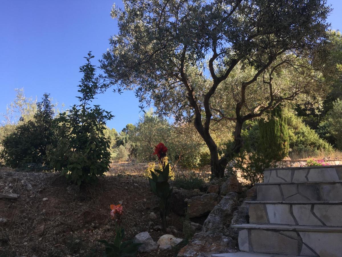 Le Clos En Provence 弗莱约斯克 外观 照片