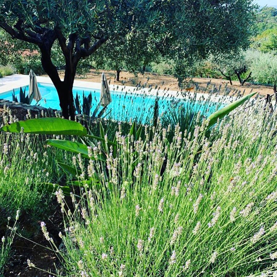 Le Clos En Provence 弗莱约斯克 外观 照片
