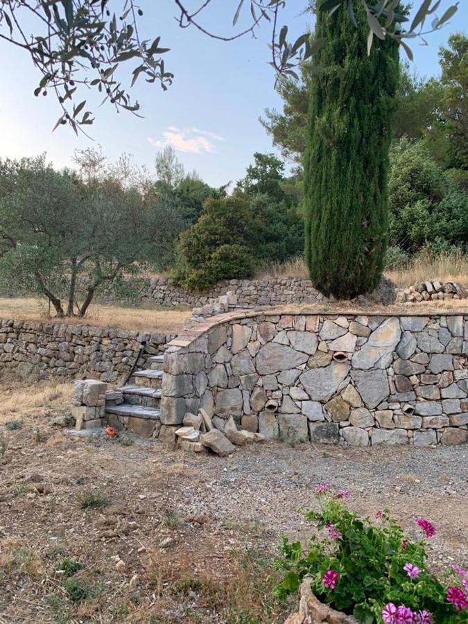 Le Clos En Provence 弗莱约斯克 外观 照片