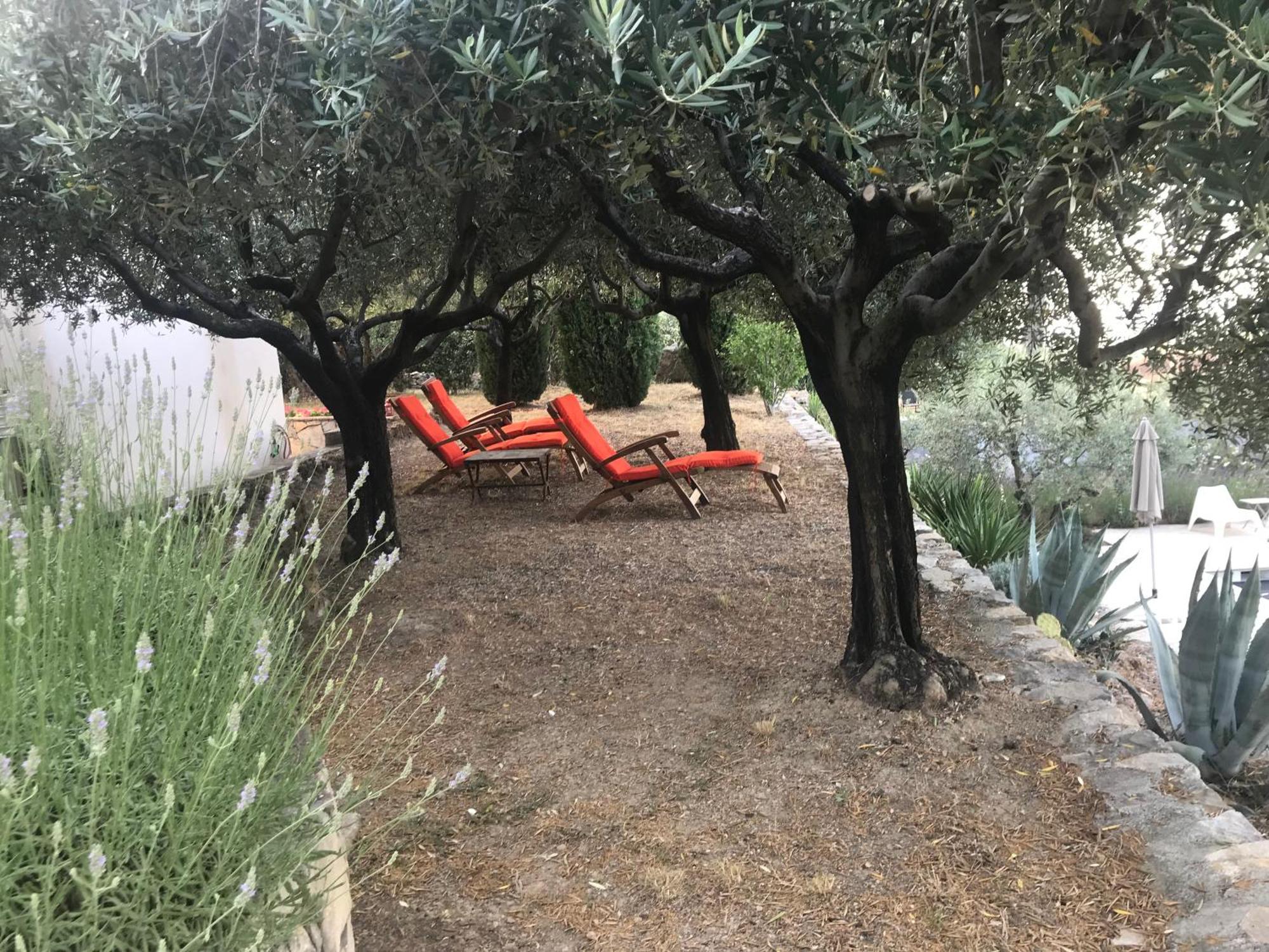 Le Clos En Provence 弗莱约斯克 客房 照片